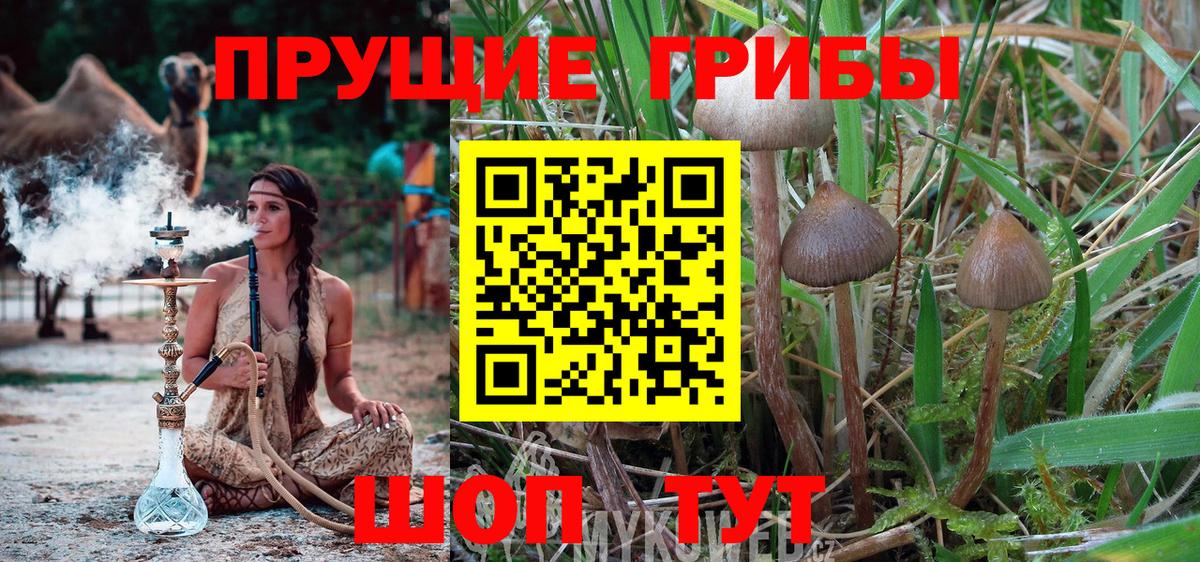 Галлюциногенные грибы Magic Shrooms  Вход с VPN  Махачкала 