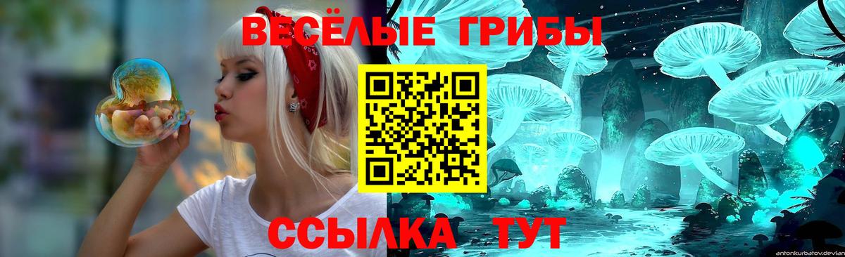 Псилоцибиновые грибы GOLDEN TEACHER Махачкала